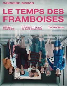 voir serie Le temps des framboises saison 1