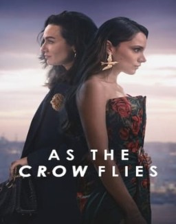 voir serie Les Ailes de l’Ambition saison 2