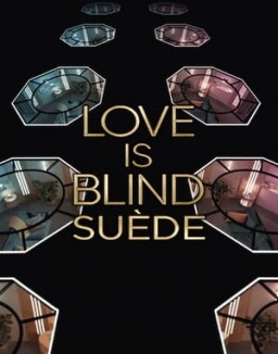 voir serie Love Is Blind : Suède saison 1