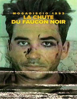 série Mogadiscio 1993 : La chute du faucon noir