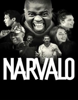 voir serie Narvalo saison 1