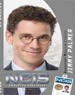 voir serie NCIS : Enquêtes Spéciales saison 10