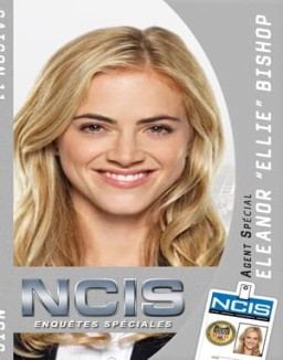 voir serie NCIS : Enquêtes Spéciales saison 11
