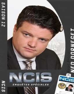 voir serie NCIS : Enquêtes Spéciales saison 12