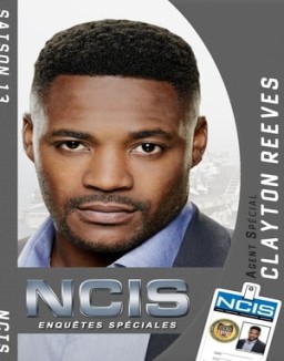voir serie NCIS : Enquêtes Spéciales saison 13