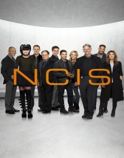 voir serie NCIS : Enquêtes Spéciales saison 14