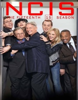 voir serie NCIS : Enquêtes Spéciales saison 15