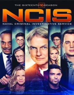 voir serie NCIS : Enquêtes Spéciales saison 16