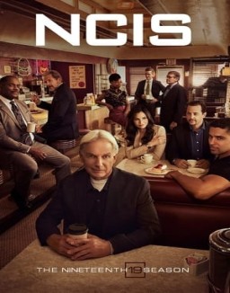 voir serie NCIS : Enquêtes Spéciales saison 19