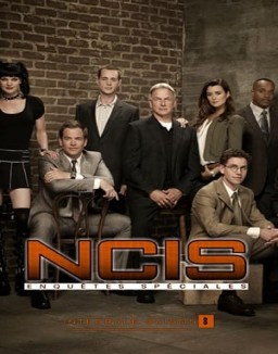 voir serie NCIS : Enquêtes Spéciales saison 8