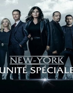 voir serie New York Unité Spéciale saison 1