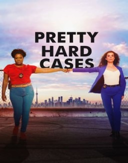 Affiche de la série Pretty Hard Cases