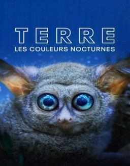 voir serie Terre : les couleurs nocturnes saison 1
