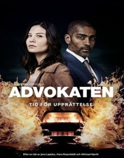voir serie The Lawyer saison 1