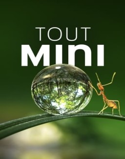 voir serie Tiny World saison 1