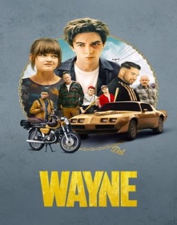 Affiche de la série Wayne