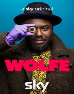 Affiche de la série Wolfe