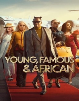 voir serie Young, Famous & African saison 1