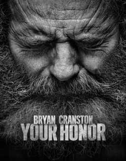 voir serie Your Honor saison 1
