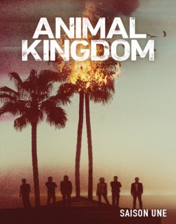 voir serie Animal Kingdom saison 1