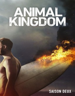 voir serie Animal Kingdom saison 2
