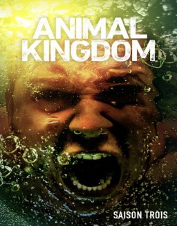 voir serie Animal Kingdom saison 3