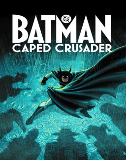 série Batman : Le Justicier masqué