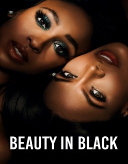 voir serie Beauty in Black saison 1