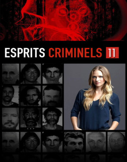 voir serie Esprits criminels saison 11