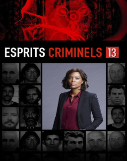 voir serie Esprits criminels saison 13