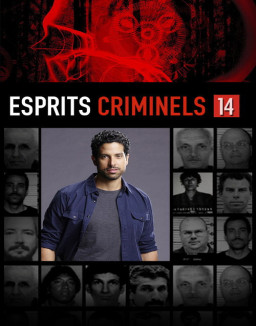 voir serie Esprits criminels saison 14