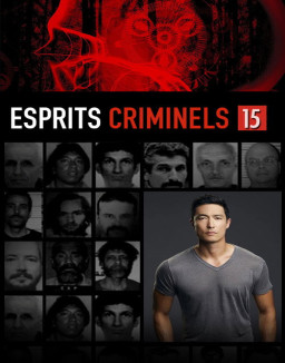 voir serie Esprits criminels saison 15