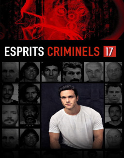 voir serie Esprits criminels saison 17