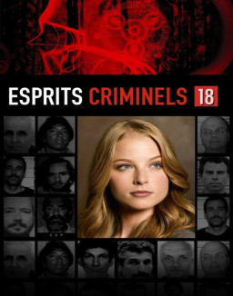 voir serie Esprits criminels saison 18