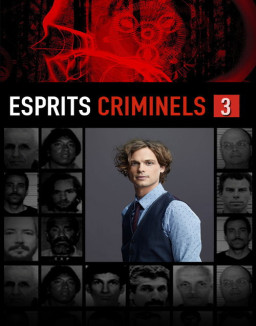 voir serie Esprits criminels saison 3