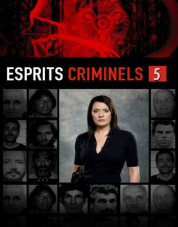 voir serie Esprits criminels saison 5