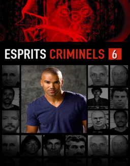 voir serie Esprits criminels saison 6