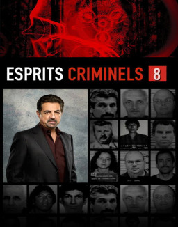 voir serie Esprits criminels saison 8