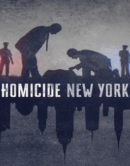 voir serie Homicide saison 1