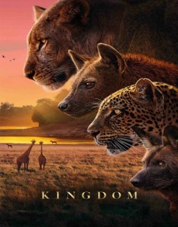 voir serie Kingdom saison 1