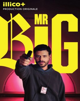 série MR BIG