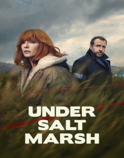 série Sous le marais salé