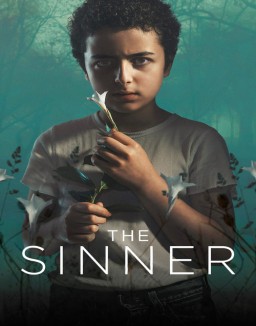voir serie The Sinner saison 2