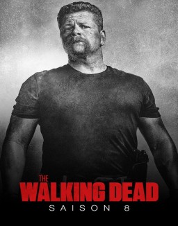 voir serie The Walking Dead saison 8
